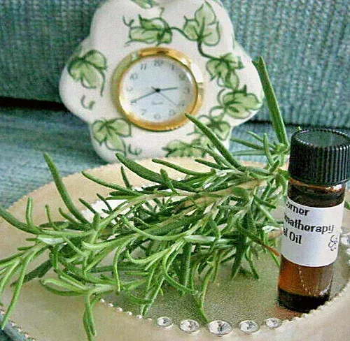 NEW NATURAL ROSEMARY MINT AROMATHERAPY FRAGRANCE BODY OIL-ENERGIZING!--4ml.